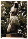 Torso