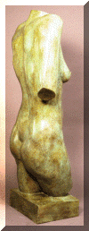 Torso side